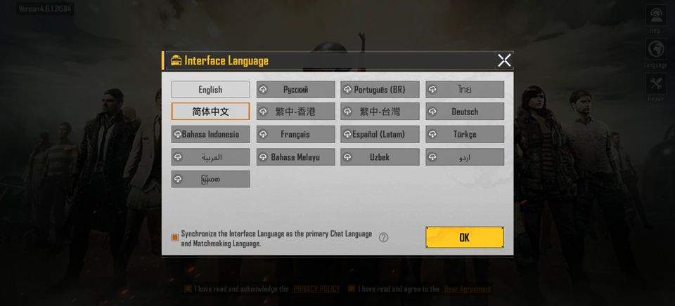 PUBG MOBILE LIGHT v4.6.0安卓版