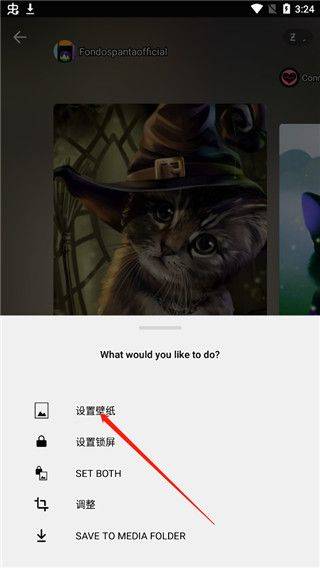 Zedge壁纸官方版 v9.38.0安卓版