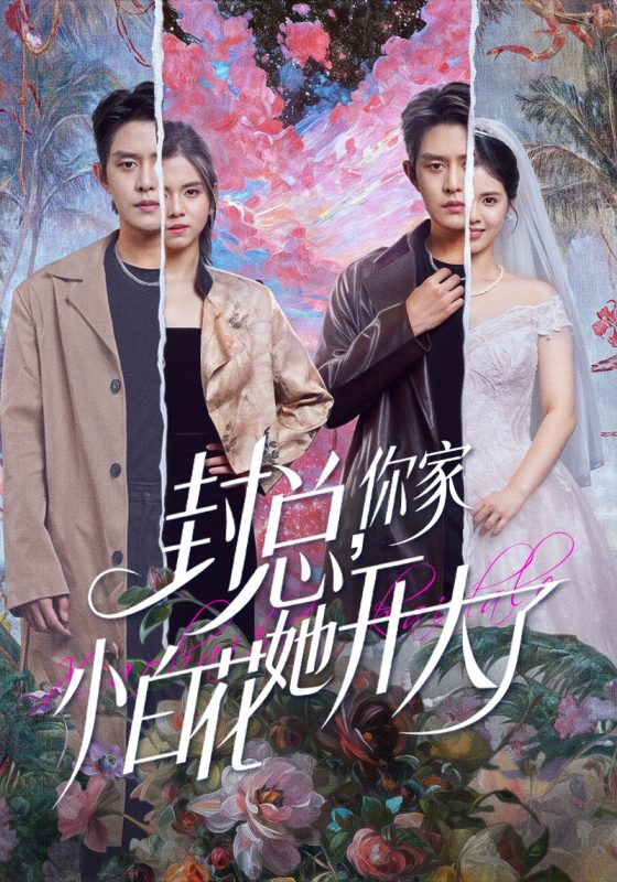 【精选付费短剧推荐】.封总，你家小白花她开大了＆大佬你的牙粘口红了（60集）王朝阳＆邓燕妮-实在人可以