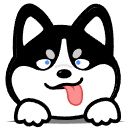 实在人的头像-实在人可以