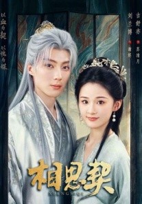 455bf435300130905226f7b9e3329962_1769662723-921324-28